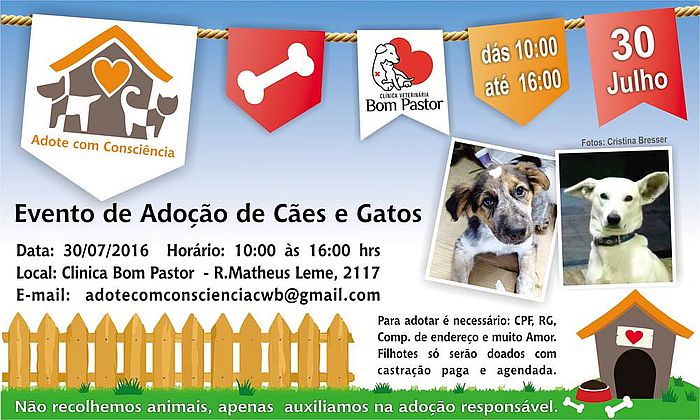 Campanha de adoção de cães e gatos do grupo Adote com Consciência será no fim de semana em Curitiba